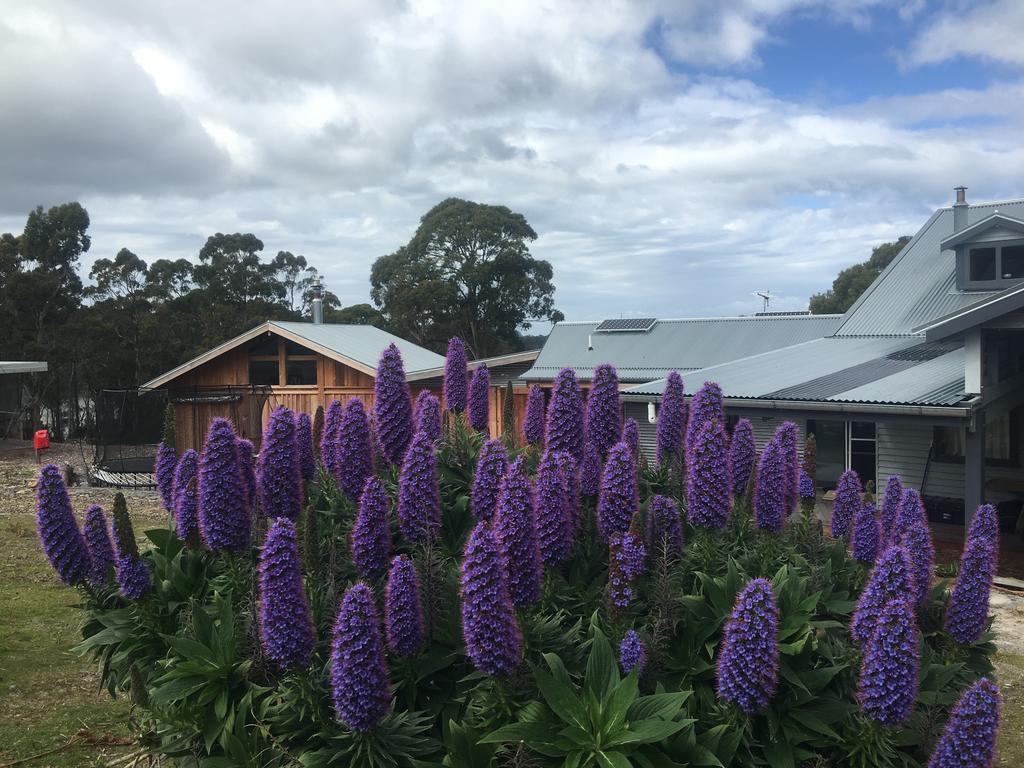Bruny Island Lodge South Bruny Dış mekan fotoğraf
